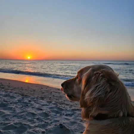 Baltic Nature 公寓 *