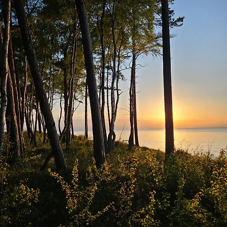 Baltic Nature * Łukęcin
