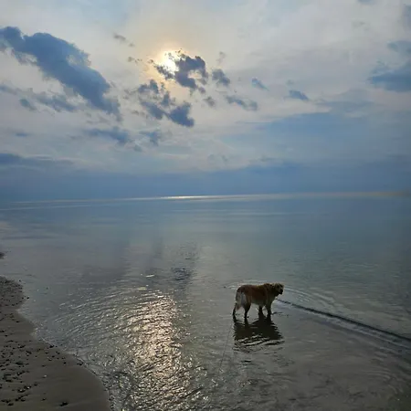 Baltic Nature