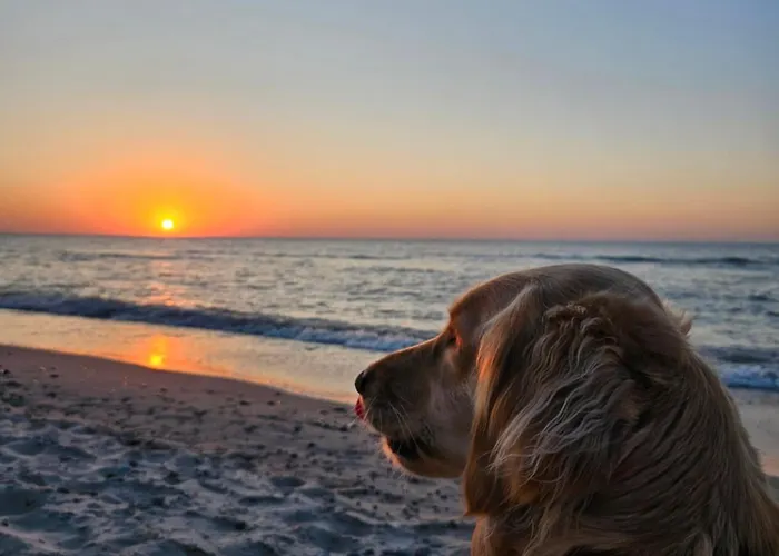 Baltic Nature Appartement *